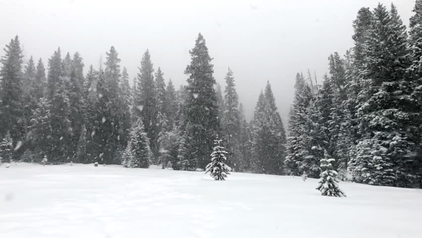 Slow motion snow falling in winter storm Montana mountains