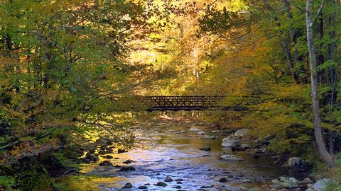 A bridge over a beautiful autumn fall river in the Tennessee mountains
