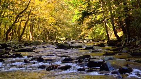 A river flows over rocks in this beautiful scene in the Tennessee mountains in autumn