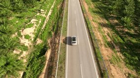 Aerial video of interesting travel in scenery tropical lands by rental speed car.Footage of developed infrastructure along palm plantation for adventure and transportation