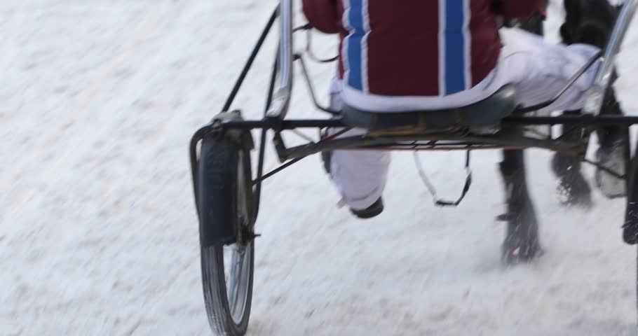 Racing horse with roller and rider at winter race track, back view, 4K