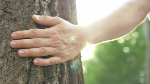 Close-up of hand touching a tree trunk in the forest. Young man is caring about nature and environment.