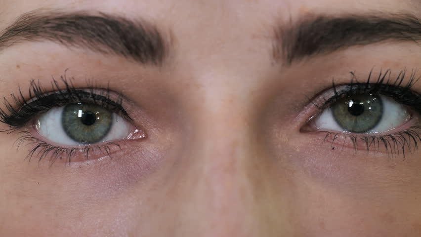 Close up black eyelashes and eyebrows woman looking at the camera. beautiful appearance of almond-shaped eyes | Shutterstock HD Video #33662710