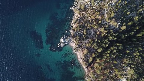 Drone is above lake tahoe shoreline rotating clockwise. forest trees near beach on crystal clear lake. emerald blue water 