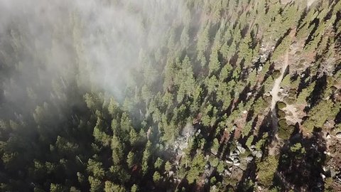 drone slowly flys over forest with fog in the trees.