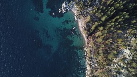 drone slowly flys high above shoreline of lake in the forest. birdseye view looking straight down on shore line. split frame, half lake half forest.