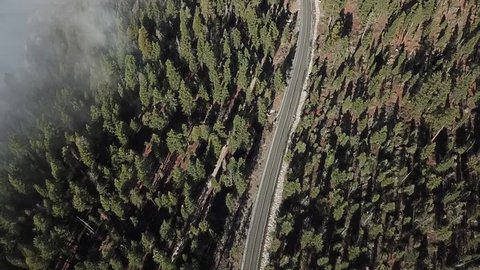 drone looks down with birdseye view of forest with a truck driving on the road. camera follows the truck. fog is coming into the trees to the left of the frame