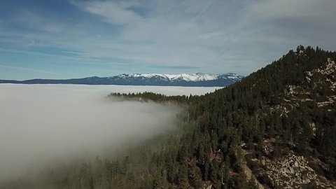 drone rises up above the fog with a mountain to the right. the trees disappear into the fog