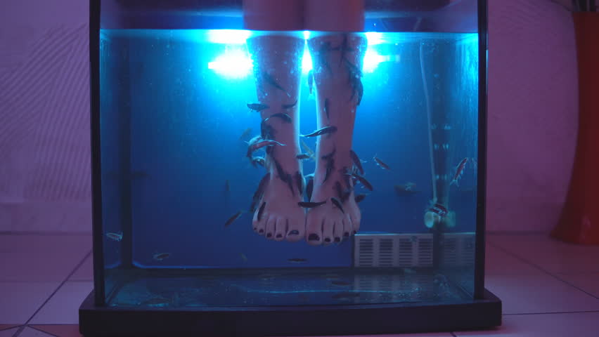 scary fish tank decorations