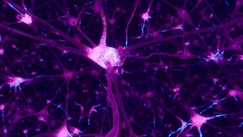 Neuron and synapse activity animation. Electrical impulses inside the human brain. Looping video.