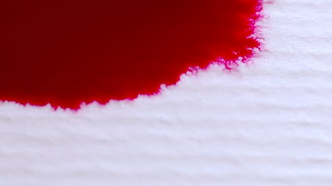 RED blood ink being splattered on white background. Ink expanding for blending modes with video. MACRO RED Ink on parchment paper