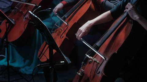 symphonic orchestra cello play in a large hall 4k