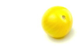 Studio video shot of yellow meaty tomato isolated on white
