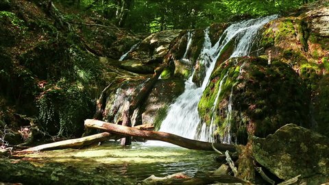 fresh water stream with waterfall in mountain forest