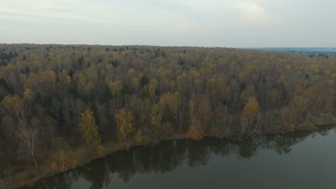 Autumn Forest Fog