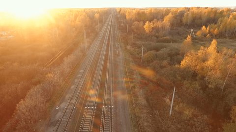 Railway Autumn Forest
