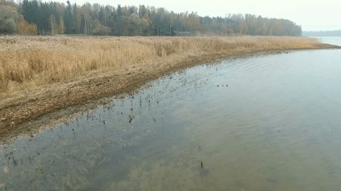 Reeds Lake Autumn Top View