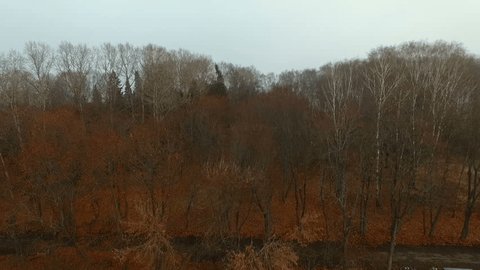 Coast Lake Forest Autumn Fog
