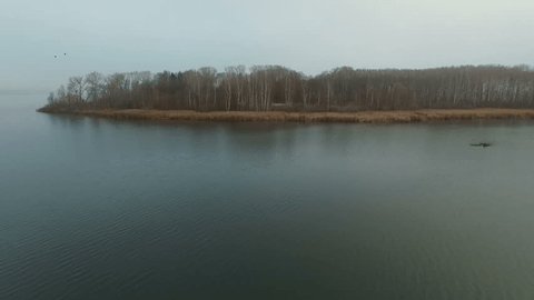Coast Lake Forest Autumn Fog