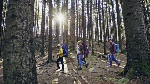 Group of backpackers walking through forest