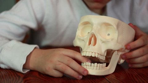 Boy plays with skull

