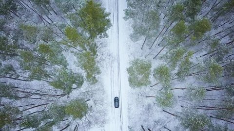 Aerial view on car driving through winter forest road. Scenic winter landscape