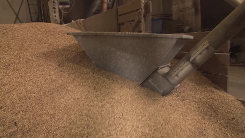 Work sleeps food for pigs dispenser.