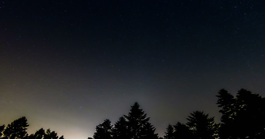 Star trails over the night sky, Time lapse of star trail, pine trees in the foreground.