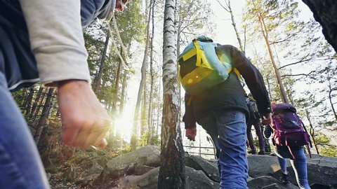 Backpackers traveling in team walking in woods