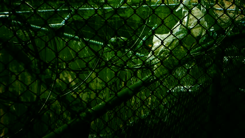 Fence Prison Jail