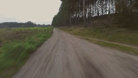 POV video footage of driving in a forest in autumn.