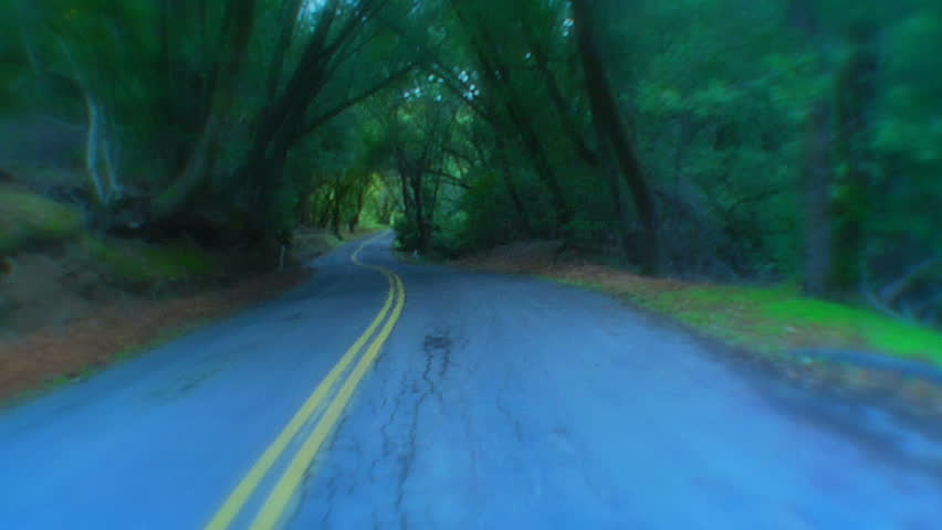 This is a smooth POV shot driving through an enchanted forest.