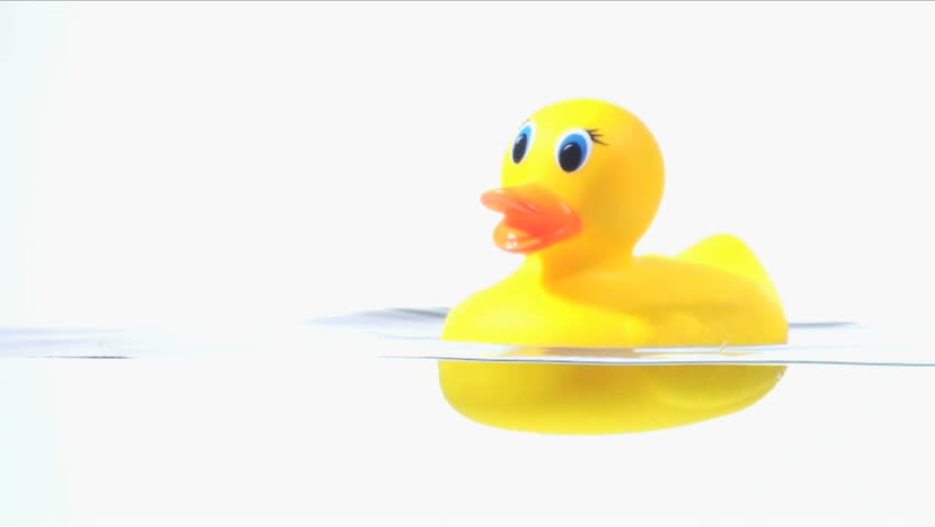 rubber duck on water