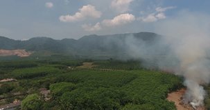Video footage of natural rural terrain with green trees and vegetation for agriculture near beautiful scenic mountains and smoke that was formed due to small fires in hot climate