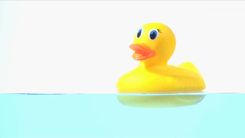 rubber duck floating