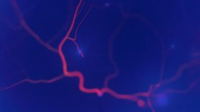 Plasma ball, Tesla Coil experiment with electricity lamp. 4k video - Powered by Shutterstock - Get 15% off with code: PIKWIZARD15