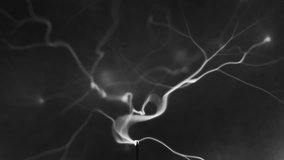 Plasma ball, Tesla Coil experiment with electricity lamp. 4k video - Powered by Shutterstock - Get 15% off with code: PIKWIZARD15