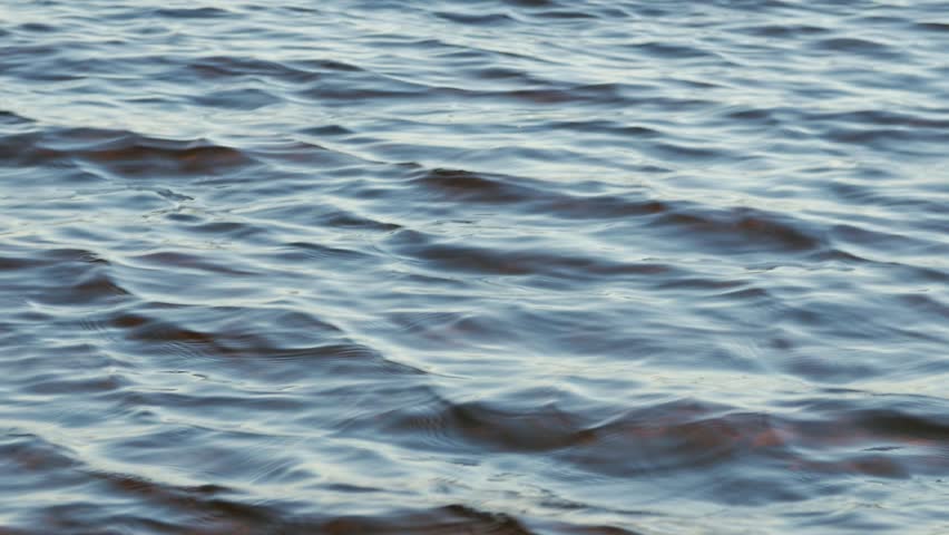 Close up of waving water surface of lake, low angle shot. Zoom | Shutterstock HD Video #33795439