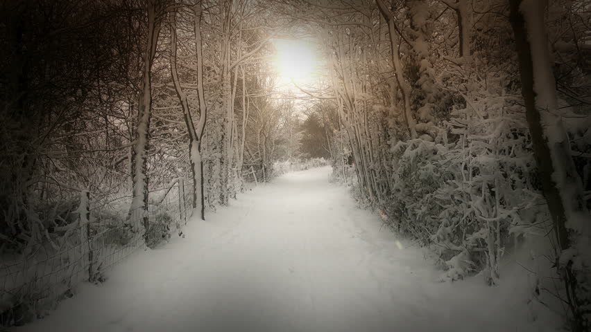A Beautiful winters scene
