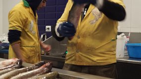 fish market - 4k video