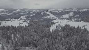 Fly above winter landscape. Natural video from drone