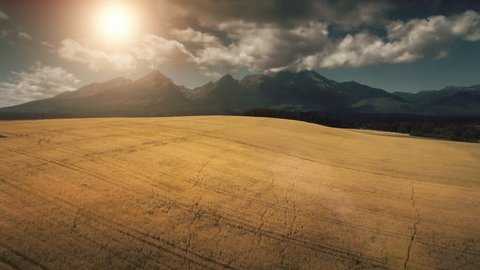 Aerial View Drone Flight above dramatic mountain range and yellow ripe wheat field in golden light sunset. Dramatic picturesque landscape. Tatras Mountains, Slovakia. Vintage retro toning filter. 4K