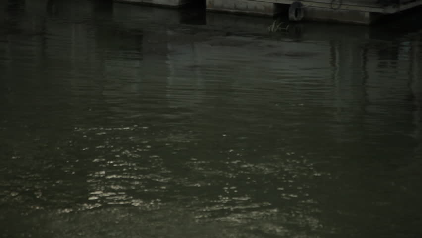 A group of people in a long, skinny boat row down the Tiber River in Rome, Italy.
