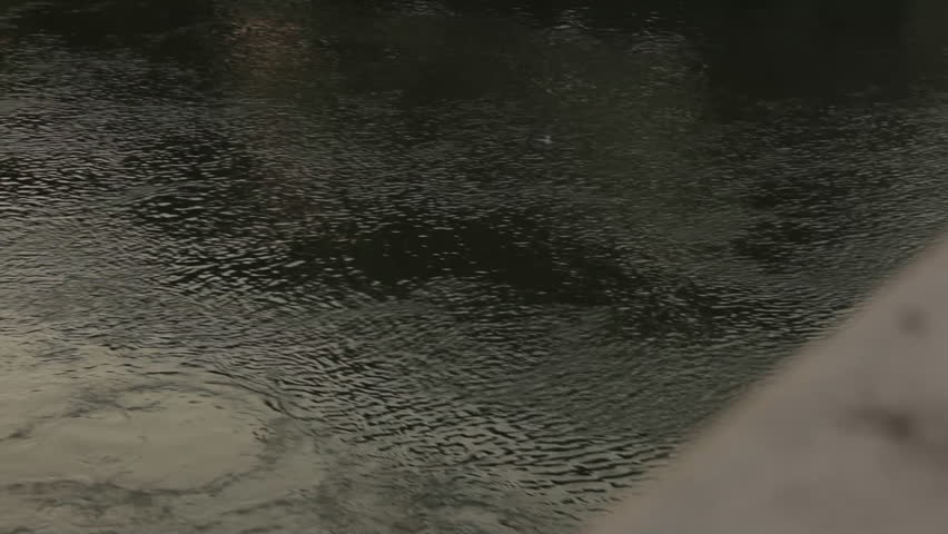 A window-covered barge approaches a bridge crossing the Tiber River in Rome, Italy.