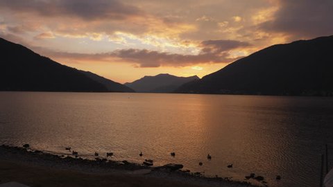 Lugano Lake. Ducks at sunset in Bissone, tiny village on the lake