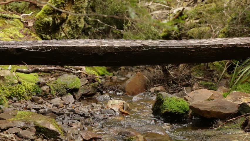 Walking the demanding seven day trail Overland Track in Tasmania Cradle Mountain NP close up of boots walking over wooden bridge over streamlet