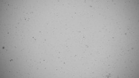 Beautiful natural Winter Snow Falling Slow Motion Background Video...Really nice snowy footage! You can use this snowing cold time video in your original projects or as weather websites background.