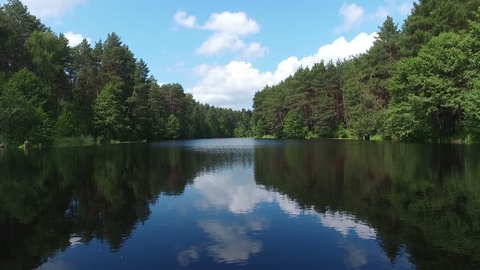 Lake Summer Forest