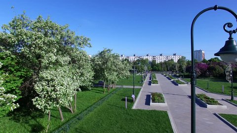 Blooming Lilac Garden in Moscow on Sunny Spring Day