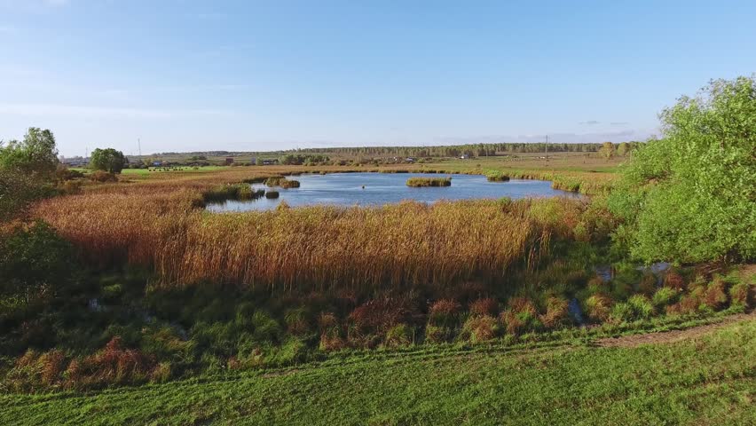 Autumn lake cane trees, yellow grass, landscape. Aerial view. Park in Autumn from above. The bright colors of autumn in the park by the lake. Lake under brush stroke, lake during autumn.